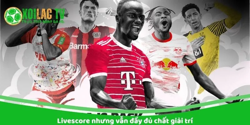 Đầy đủ tính chất giải trí tại Xoilac bongdatructiep